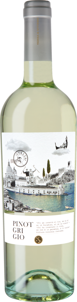 Terra & Vitigno Pinot Grigio 2020, Venetien, Trocken 5771355 Weißwein Enzo