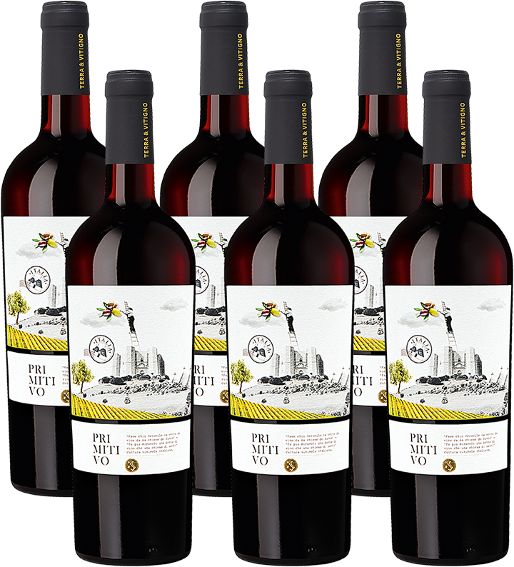 Terra & Vitigno Primitivo Weinpaket 2020, Apulien, Trocken 5824757 Sonstiges Enzo