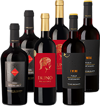 Rote Klassiker aus Apulien Weinpaket