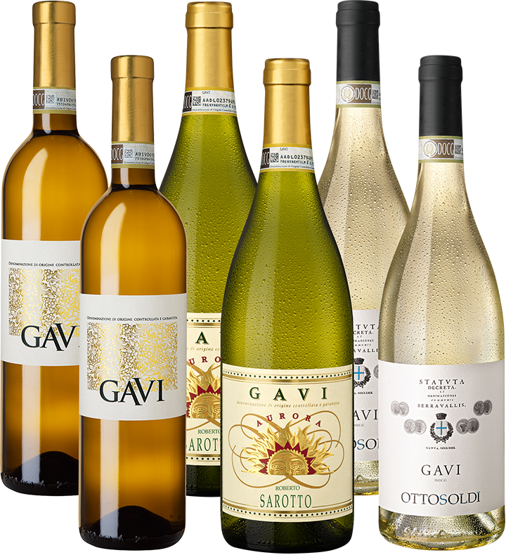 Gavi Selezione Speciale Weinpaket 5955529 Sonstiges Enzo