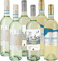 Pinot Grigio Selezione Weinpaket