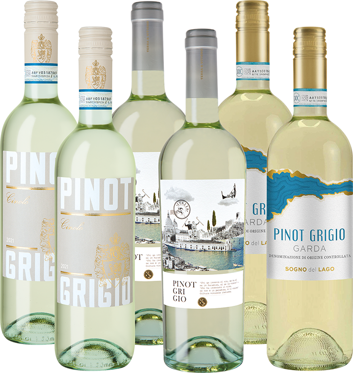 Pinot Grigio Selezione Weinpaket 5980258 Sonstiges Enzo