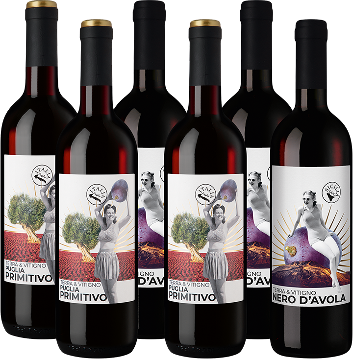Terra & Vitigno Weinpaket 6055490 Sonstiges Enzo